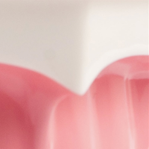 Dental Jaw Model - Image 3